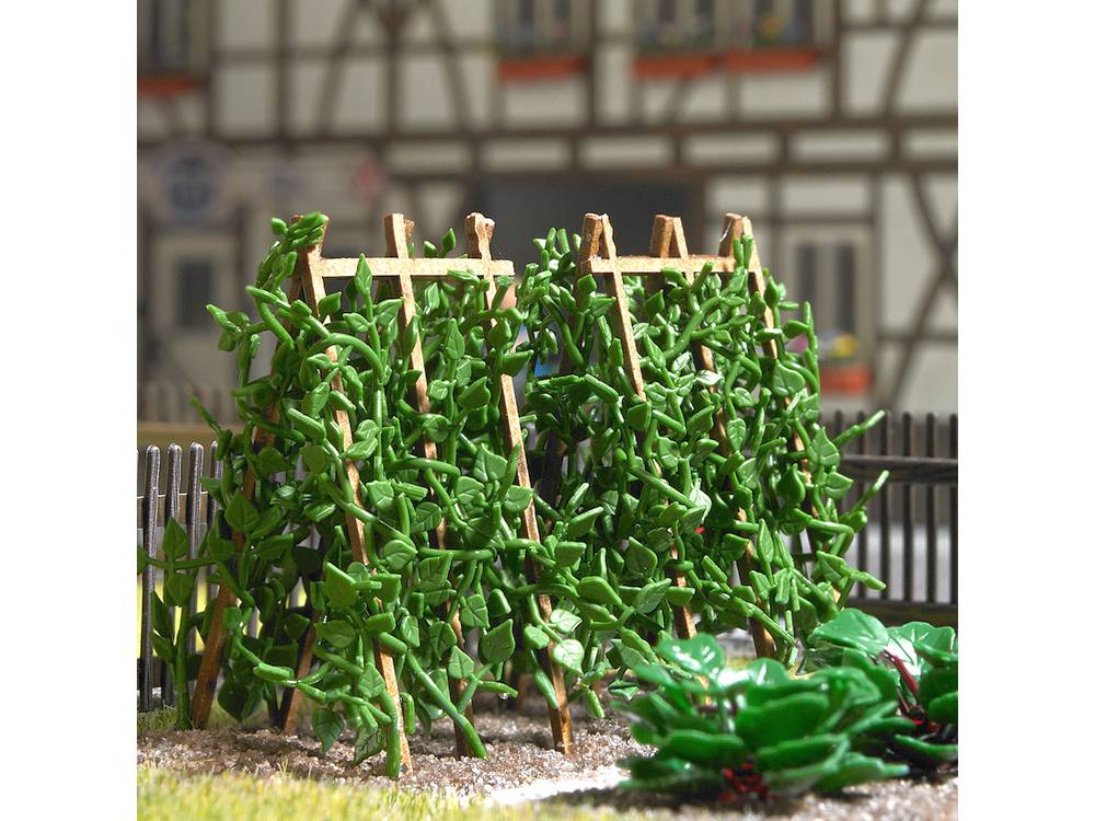 HO-Runner-Beans-on-Poles-Busch-1269_b_0.jpg
